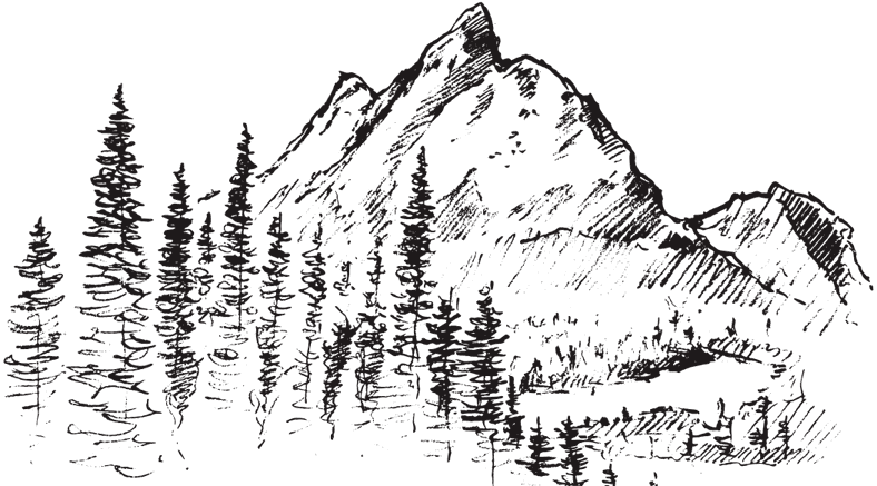 В тайге (сборник). С вопросами и ответами для почемучек - _104.png