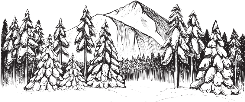 В тайге (сборник). С вопросами и ответами для почемучек - _108.png