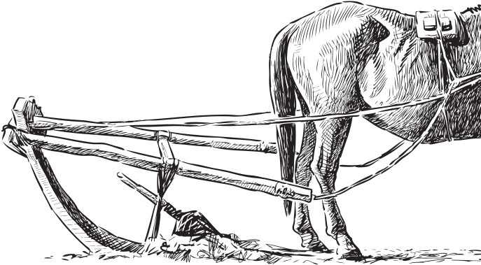 В тайге (сборник). С вопросами и ответами для почемучек - _67.png