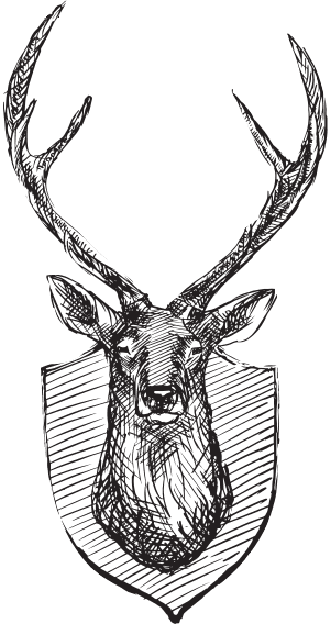 В тайге (сборник). С вопросами и ответами для почемучек - _68.png