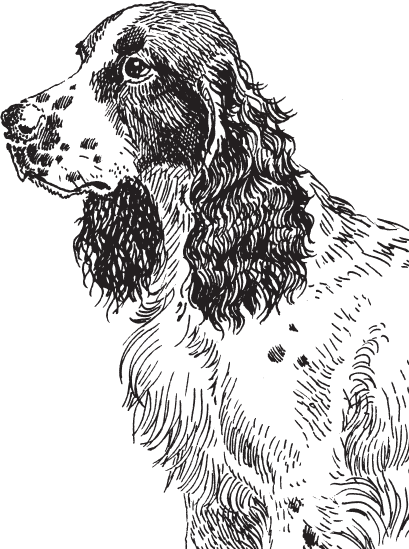 В тайге (сборник). С вопросами и ответами для почемучек - _73.png