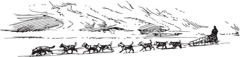 В тайге (сборник). С вопросами и ответами для почемучек - _80.png