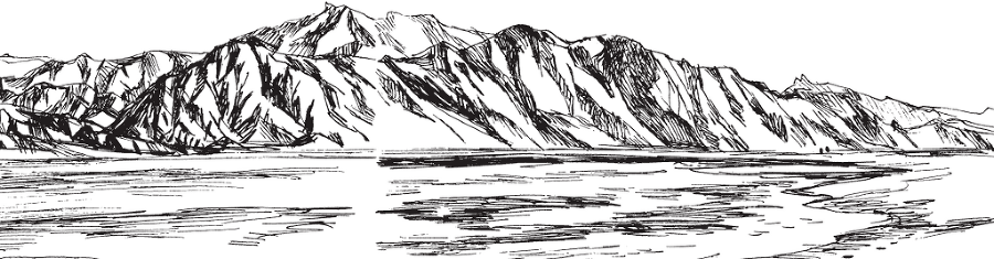 В тайге (сборник). С вопросами и ответами для почемучек - _89.png