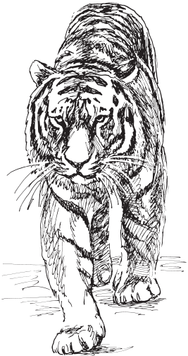 В тайге (сборник). С вопросами и ответами для почемучек - _91.png