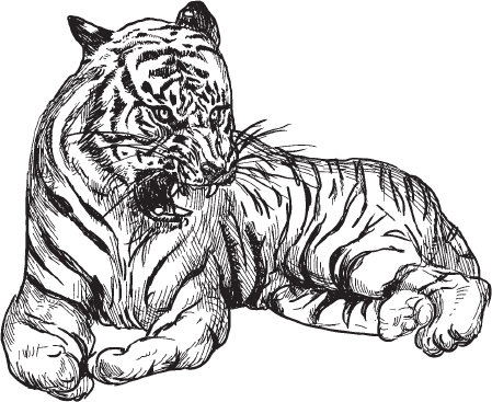 В тайге (сборник). С вопросами и ответами для почемучек - _97.png