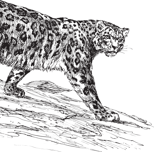 В тайге (сборник). С вопросами и ответами для почемучек - _98.png