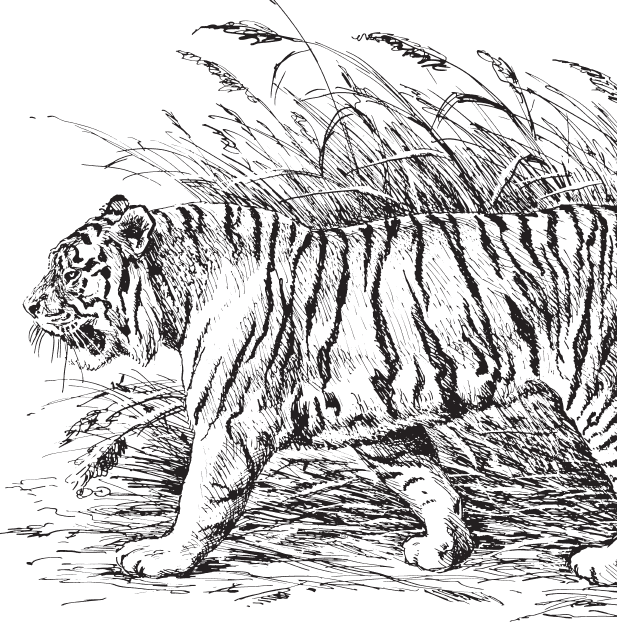 В тайге (сборник). С вопросами и ответами для почемучек - _99.png