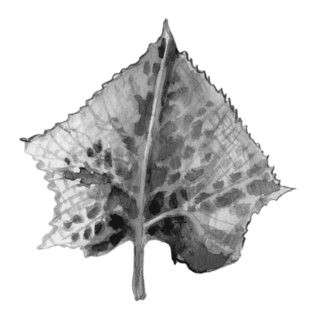 Огород без вредителей - _009.png