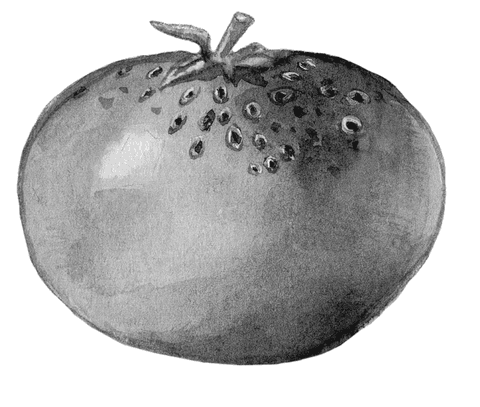 Огород без вредителей - _010.png