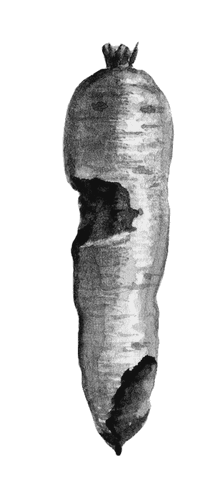 Огород без вредителей - _023.png