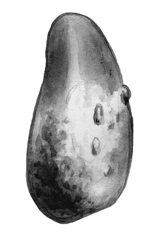 Огород без вредителей - _031.png