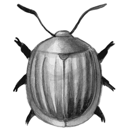 Огород без вредителей - _036.png