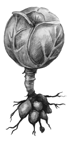 Огород без вредителей - _038.png