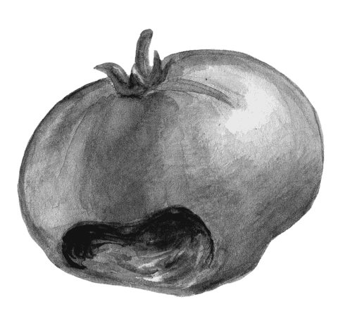 Огород без вредителей - _041.png