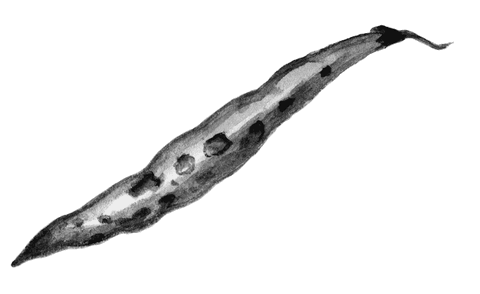 Огород без вредителей - _046.png