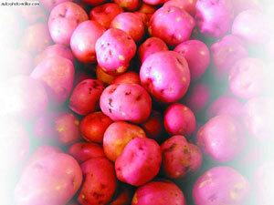 Картофель - _30.jpg