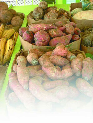 Картофель - _32.jpg