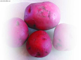 Картофель - _46.jpg