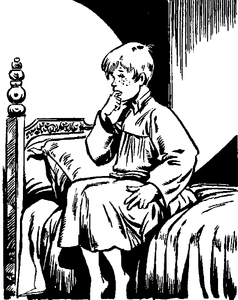 Приключения Тома Сойера - i_009.png