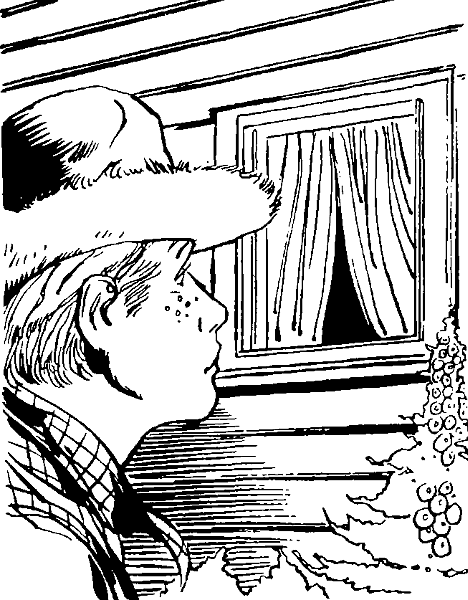 Приключения Тома Сойера - i_034.png