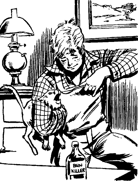 Приключения Тома Сойера - i_036.png