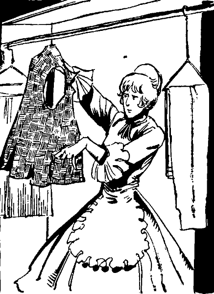 Приключения Тома Сойера - i_063.png