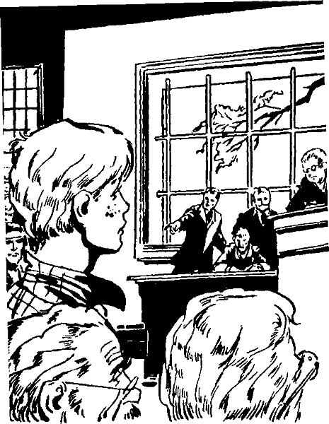 Приключения Тома Сойера - i_068.png
