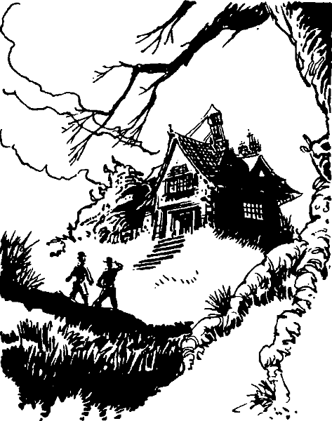 Приключения Тома Сойера - i_073.png