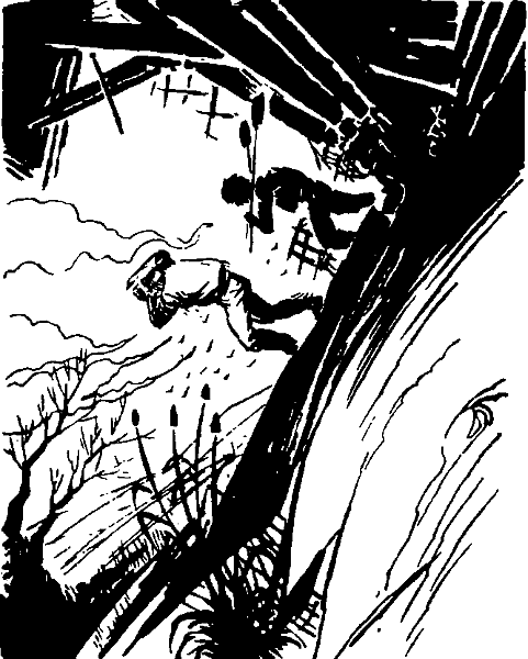 Приключения Тома Сойера - i_077.png