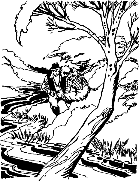 Приключения Тома Сойера - i_078.png