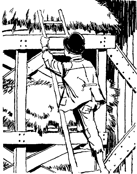 Приключения Тома Сойера - i_081.png