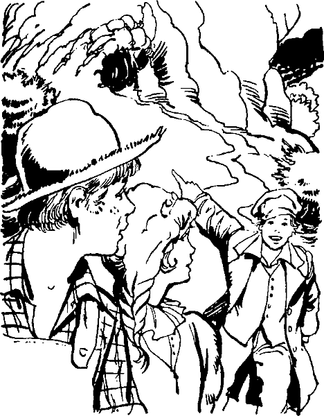 Приключения Тома Сойера - i_083.png