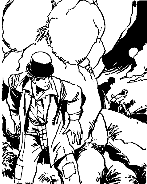 Приключения Тома Сойера - i_087.png