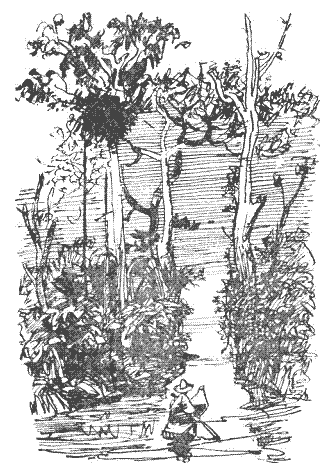 Пригоди Гекльберрі Фінна - i_012.png