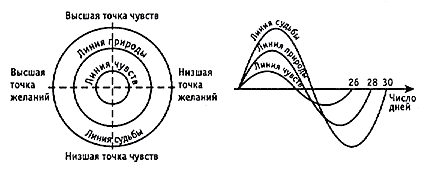 Восхождение к Дао. Жизнь даосского учителя Ван Липина - i_024.png