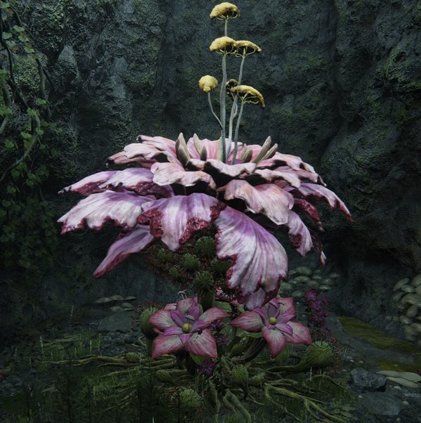 Наследник Даларана в Элден Ринг (СИ) - image19.jpeg