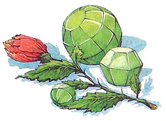 Рыцари Света и Тьмы (иллюстр. М. Мисуно) - i_059.jpg