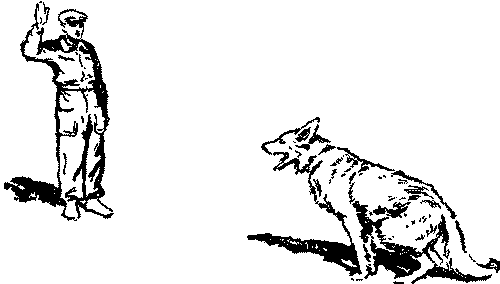 Дрессировка служебных собак - i_014.png