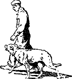 Дрессировка служебных собак - i_015.png