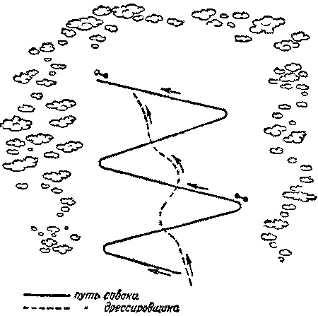 Дрессировка служебных собак - i_041.png