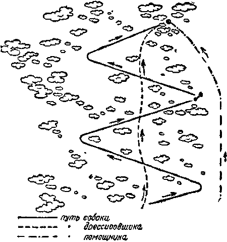 Дрессировка служебных собак - i_042.png