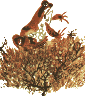 Лягушка-путешественница - i_010.png