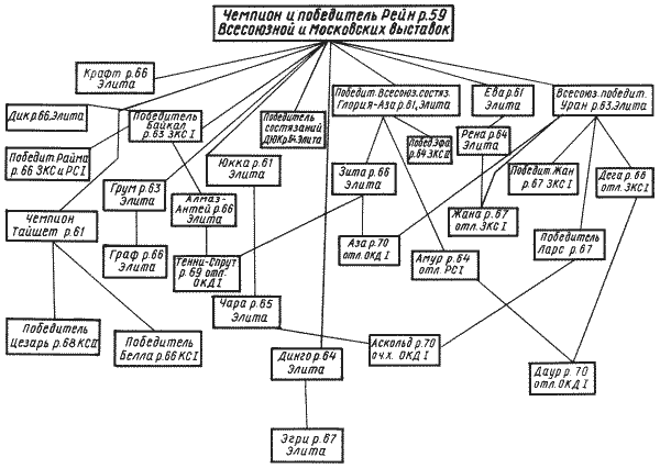 Твой друг (Сборник по собаководству, 1973 г.) - i_061.png