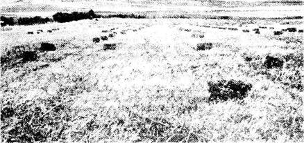 Обзор Ветхого завета - i_019.jpg