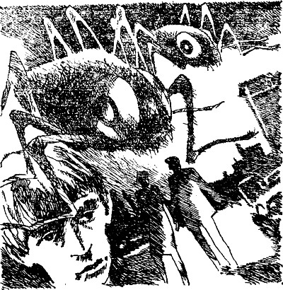 Маяк на Дельфиньем (сборник) - i_010.jpg