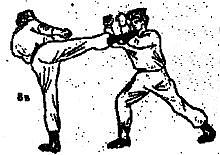 Боевое самбо и рукопашный бой для спецвойск - _203.jpg