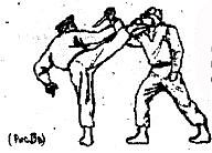 Боевое самбо и рукопашный бой для спецвойск - _330.jpg