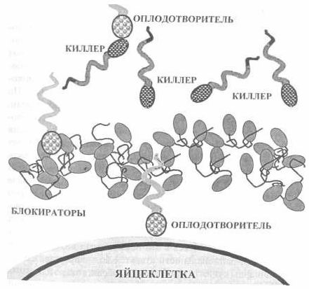 Счастье и брак - i_005.jpg