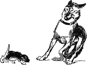 Мир приключений 1956 г.№ 2 - doc2fb_image_03000038.png