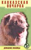 Кавказская овчарка
